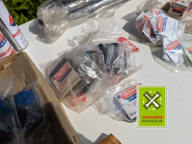 PXL_20240523_135804499